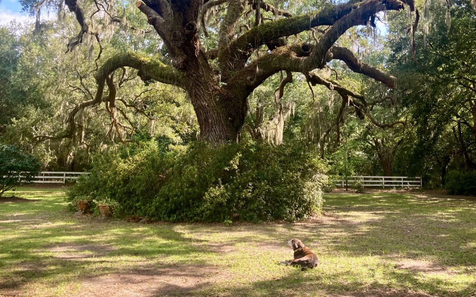 Palmetto Recovery of Charleston facility photo 5