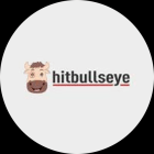 hitbullseye