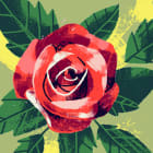 ailany_luna