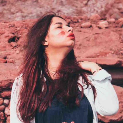 Theproffesionalimmigrant