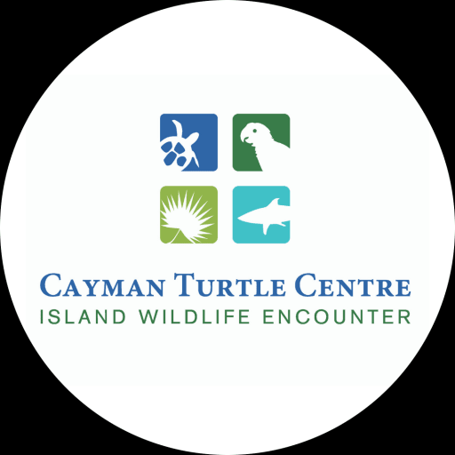 Cayman Turtle Centre