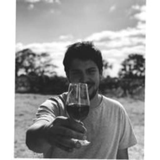 Gonzalo Sanguinetti Ferreira