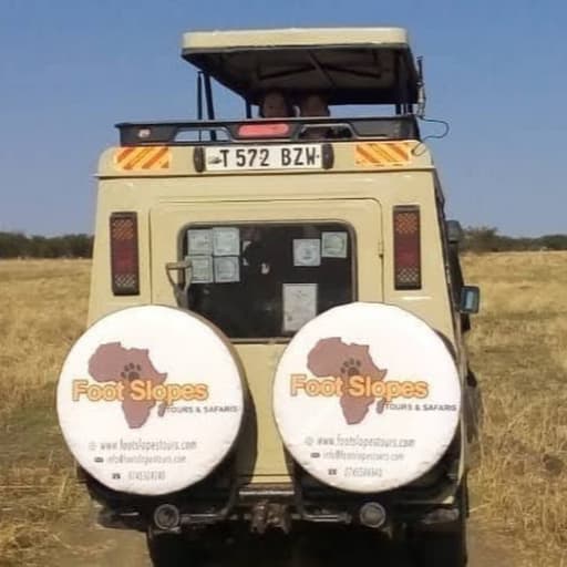 African Safari Tours 