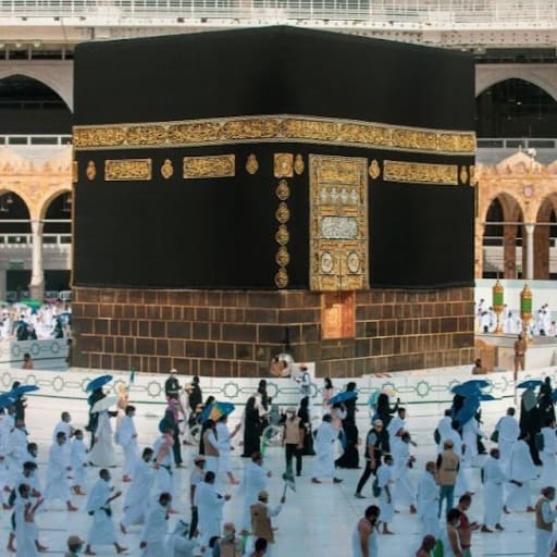 quratulain undefined