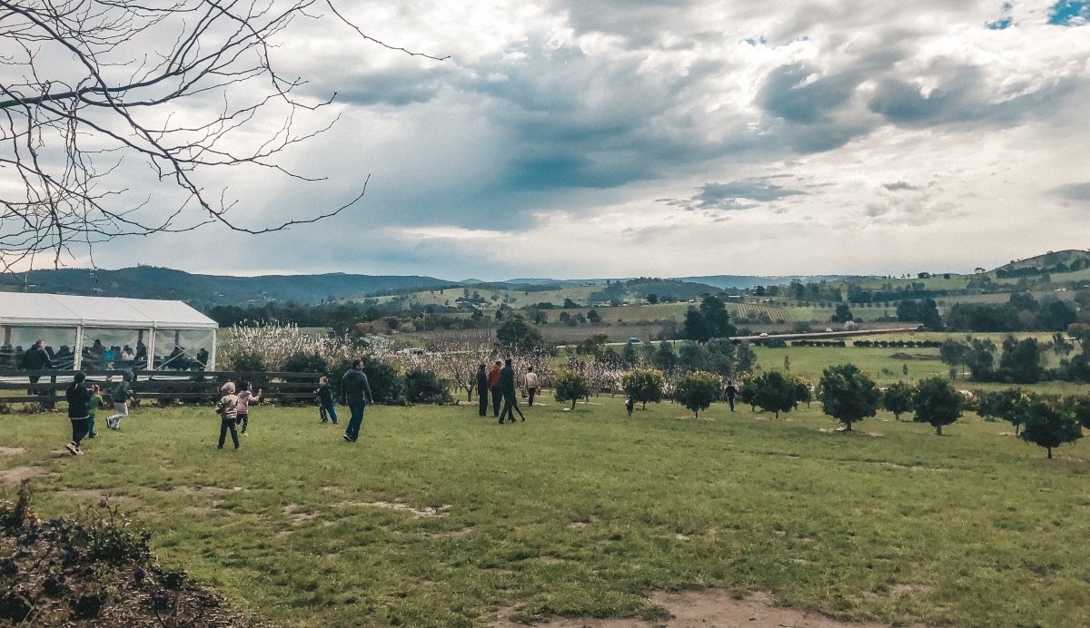 Yarra Valley Chocolaterie and Ice-creamery
