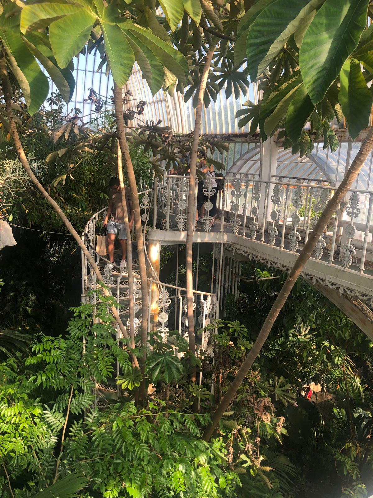 The rustic spiral staircase