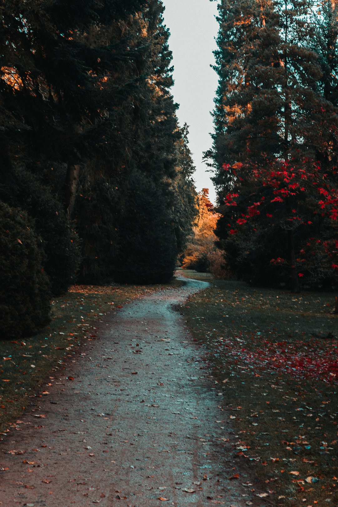 One of the Beautiful Seasonal Trails