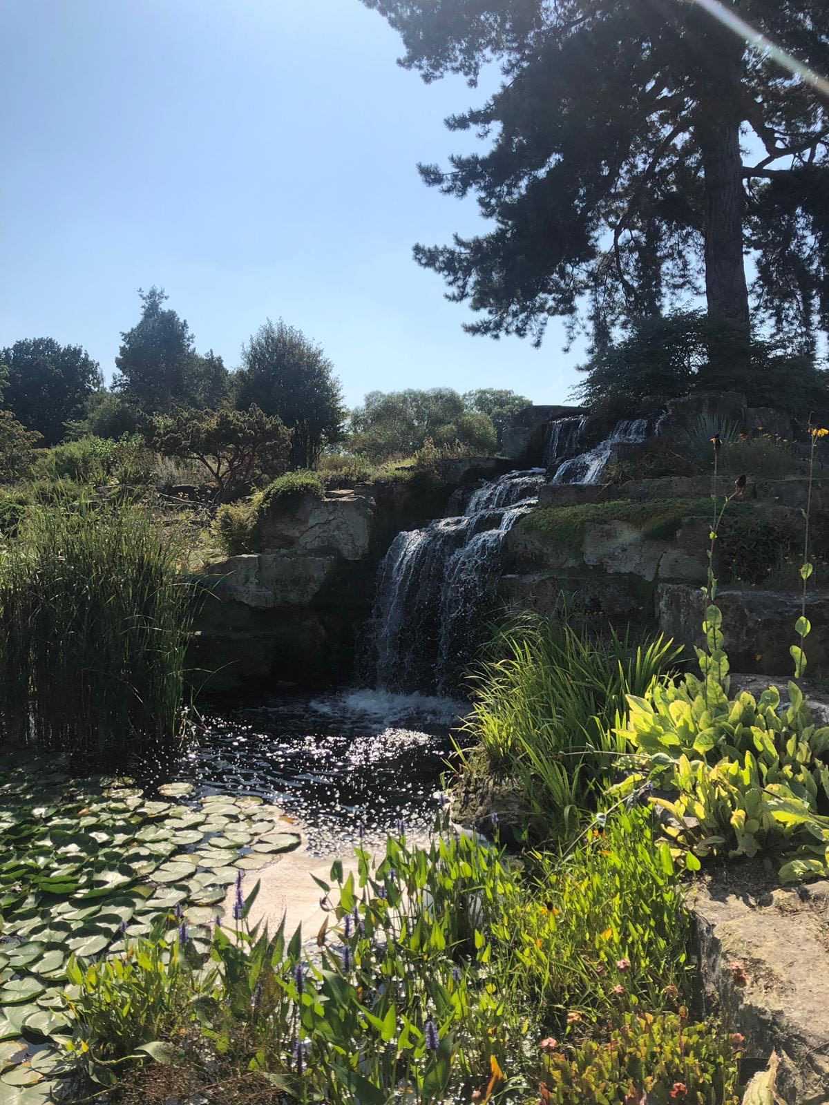 Such a peaceful place to sit