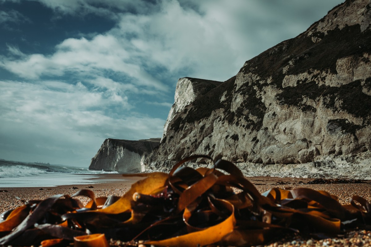 Durdle Door also has a very rugged and rocky Landscape