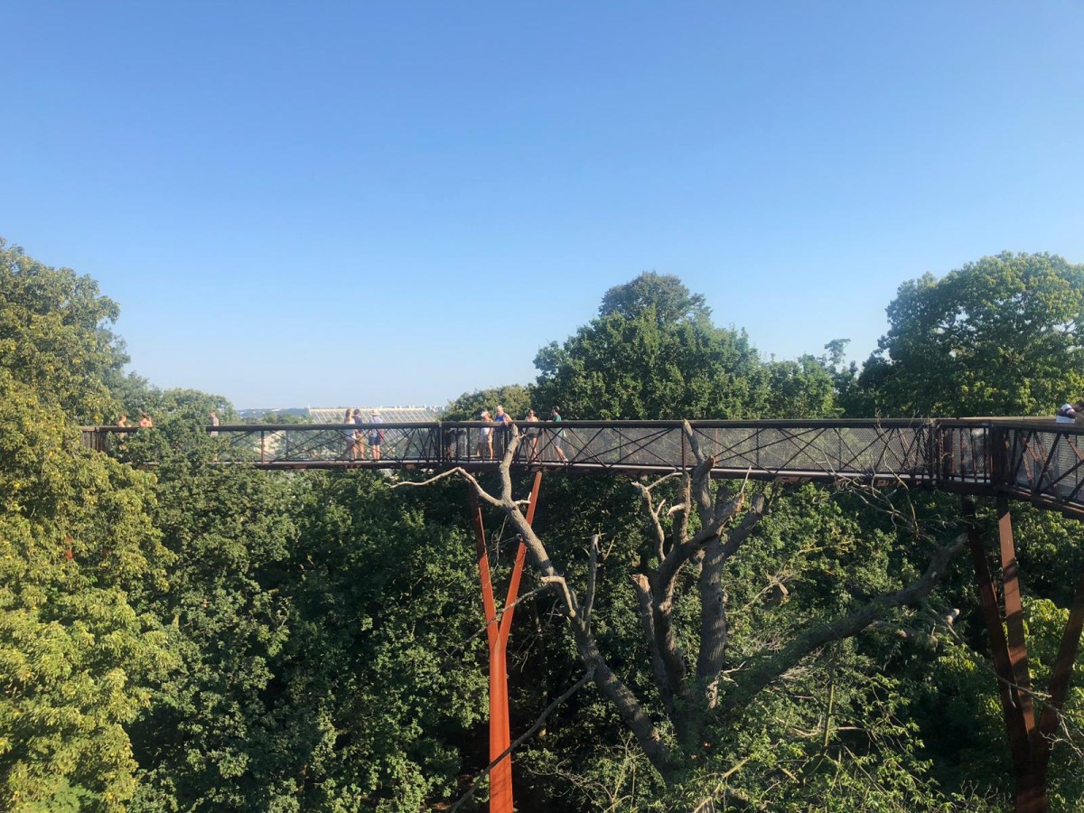 The Treetop walkway