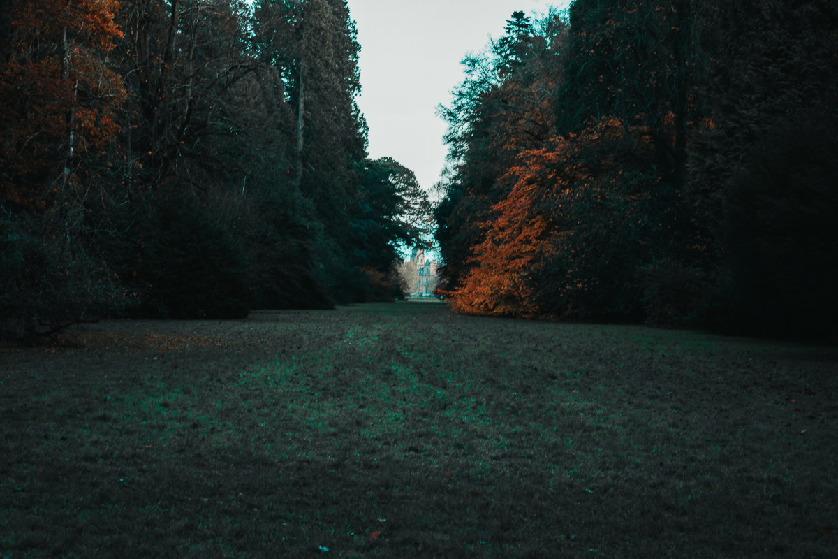 The castle at the end at the Westonbirt Arebortum