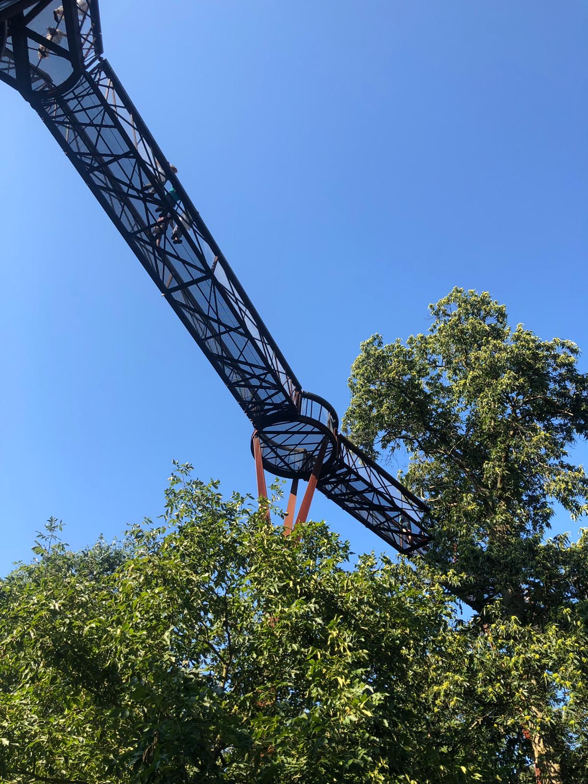 A view of the Treetop walkway from below