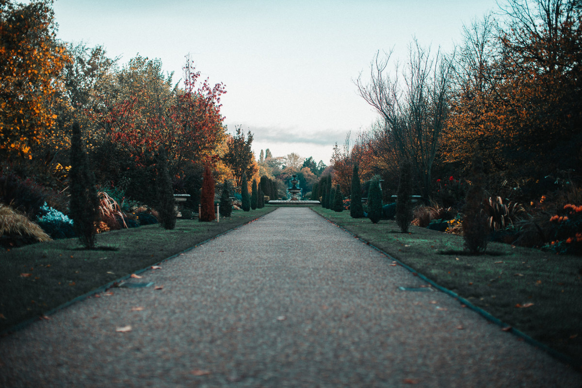 Another Section of Regents Park