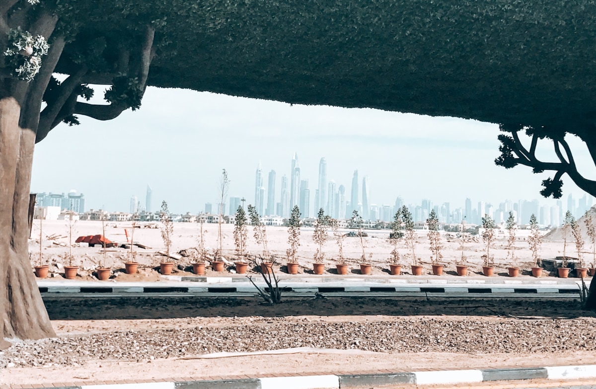The construction site with the city skyline backdrop (and fake trees!)