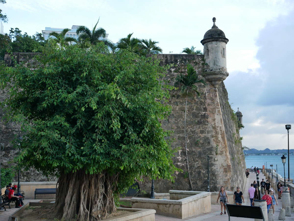 End the day by taking a stroll through Paseo de la Princesa.