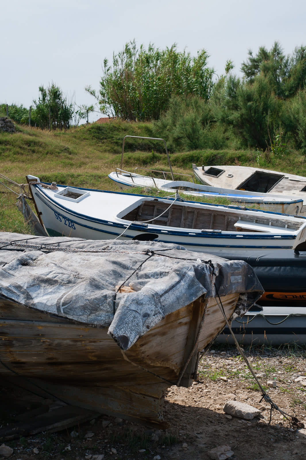 Fishing boats in port