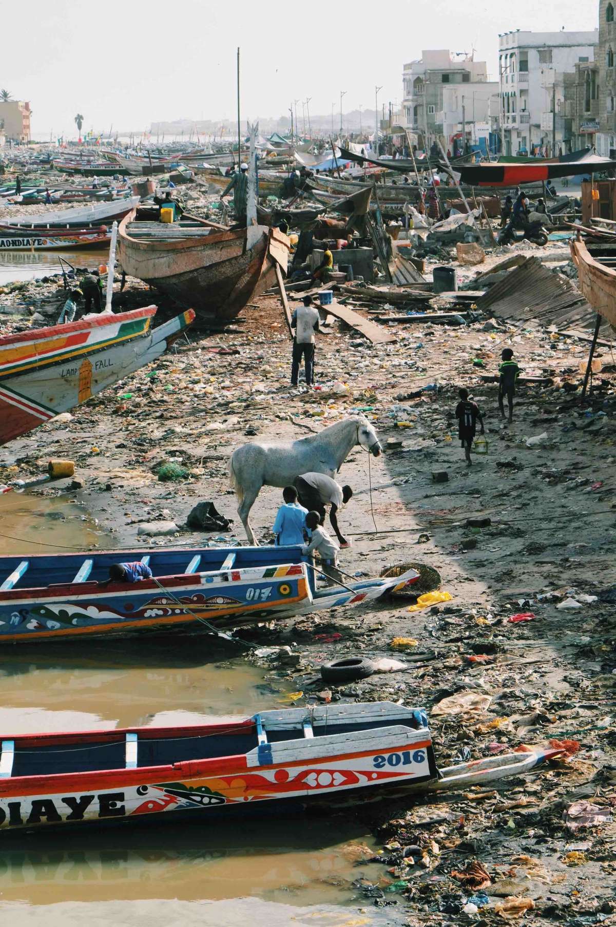 Fishermen wash their horse in between the boats of Saint-Louis