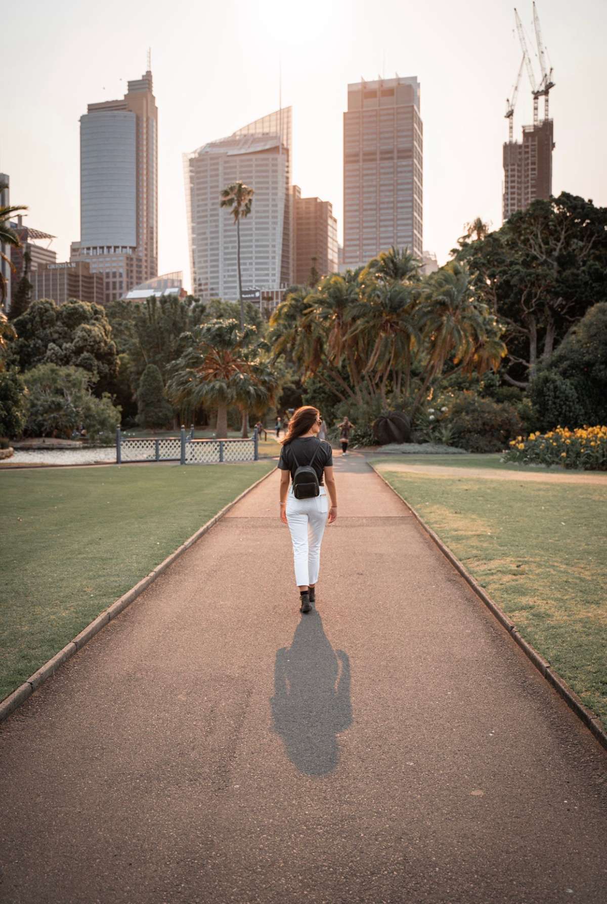 Scenic Route Through The Gardens