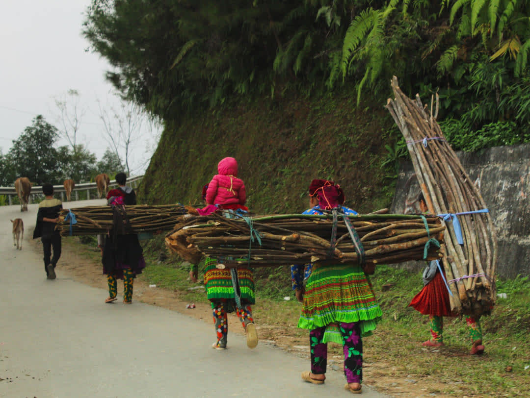 Hmong women carrying wood