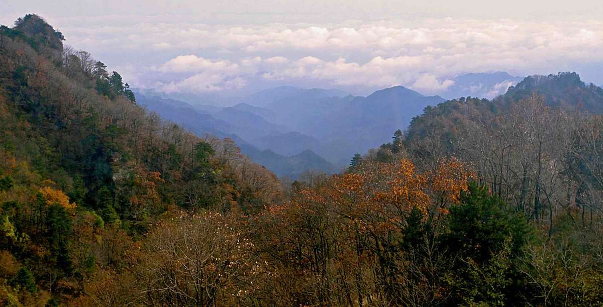 There is nothing like late fall in the Wudang mountains