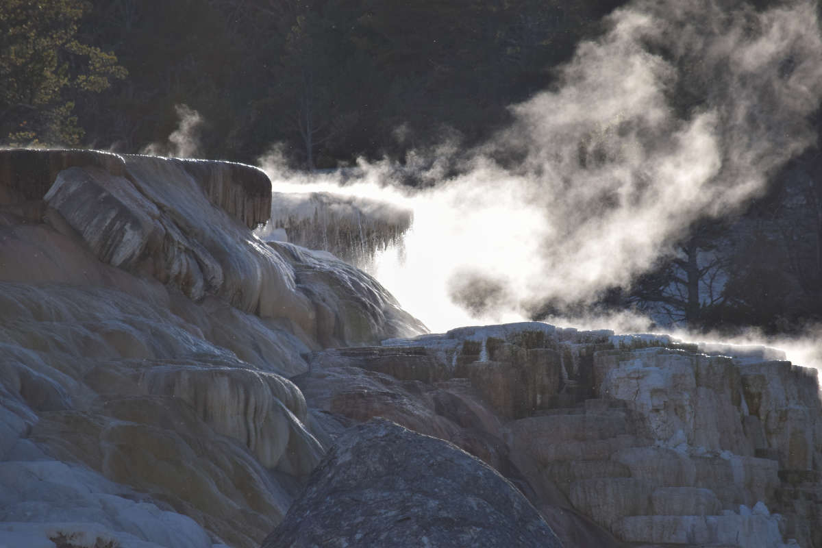 Mammoth Hot Springs