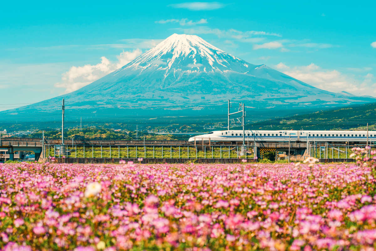 Japanese Express Train