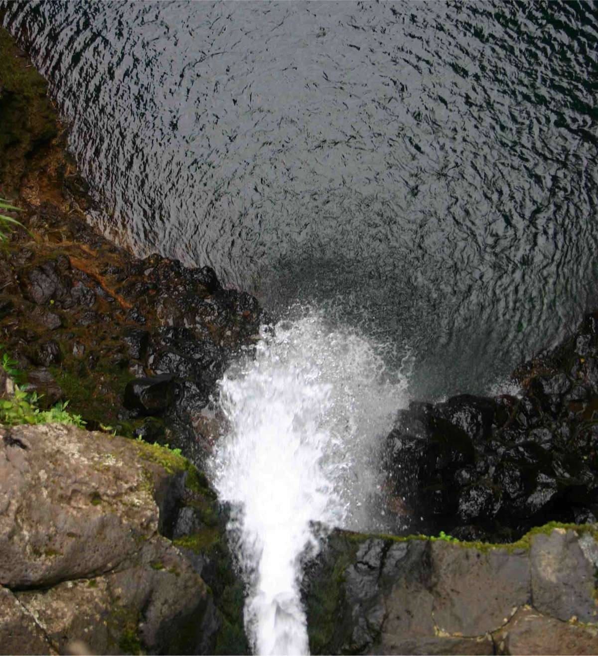 Top of the Falls 