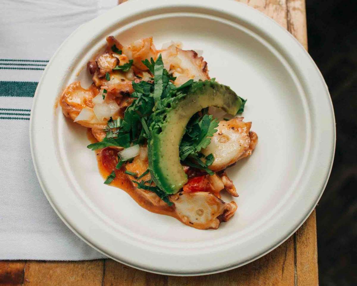Shrimp Tikin -Xix