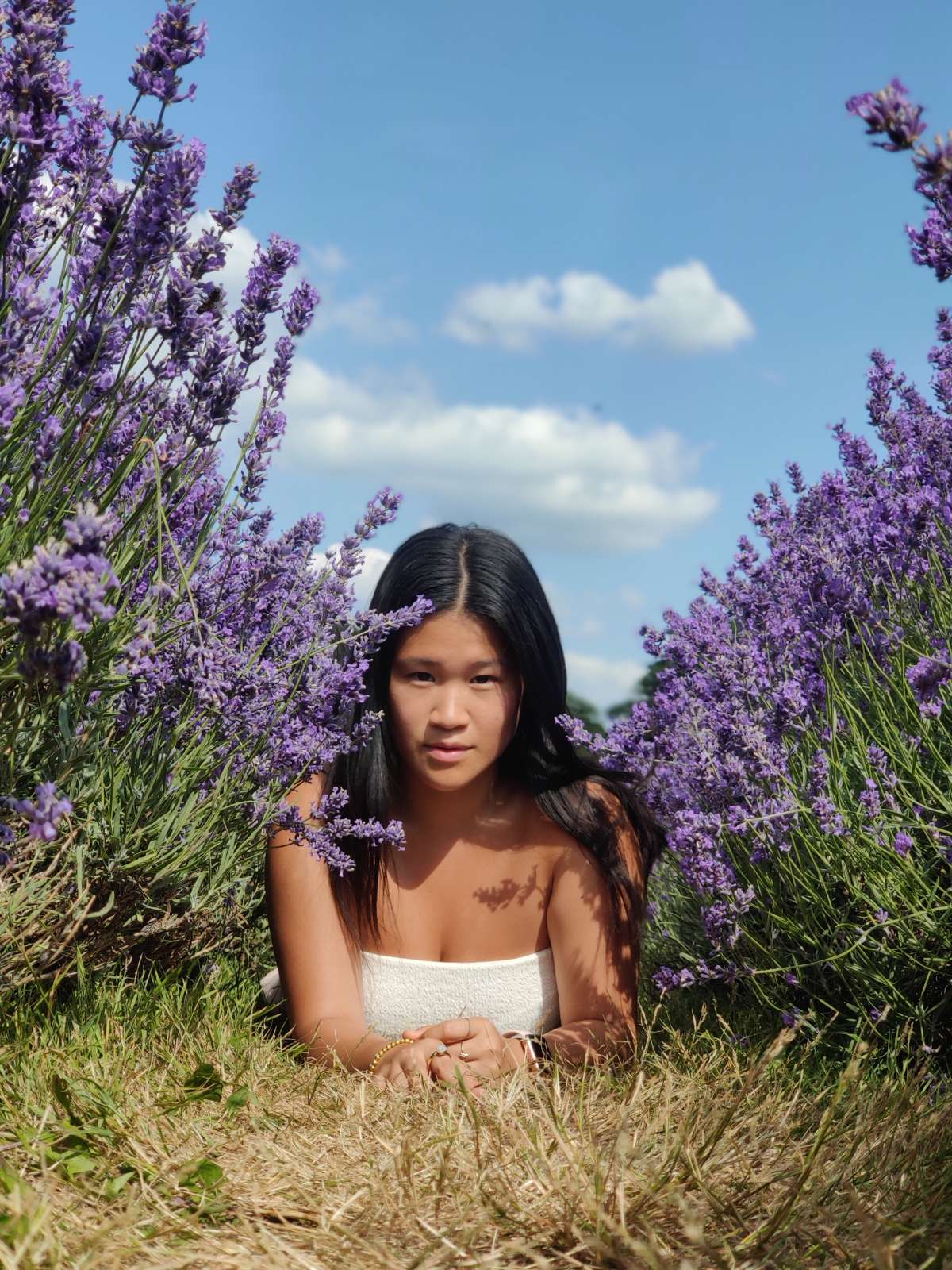 Lavender Fields make for great portrait scenes