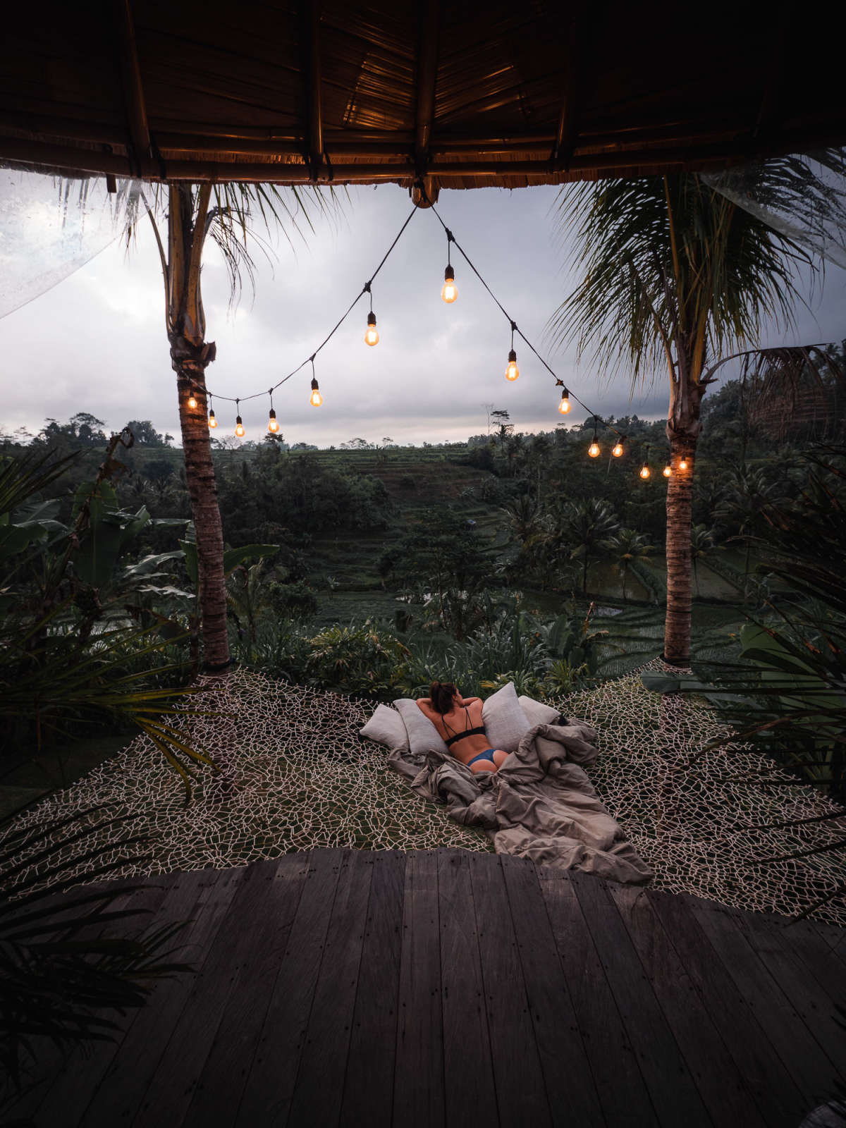 view from the netted bed