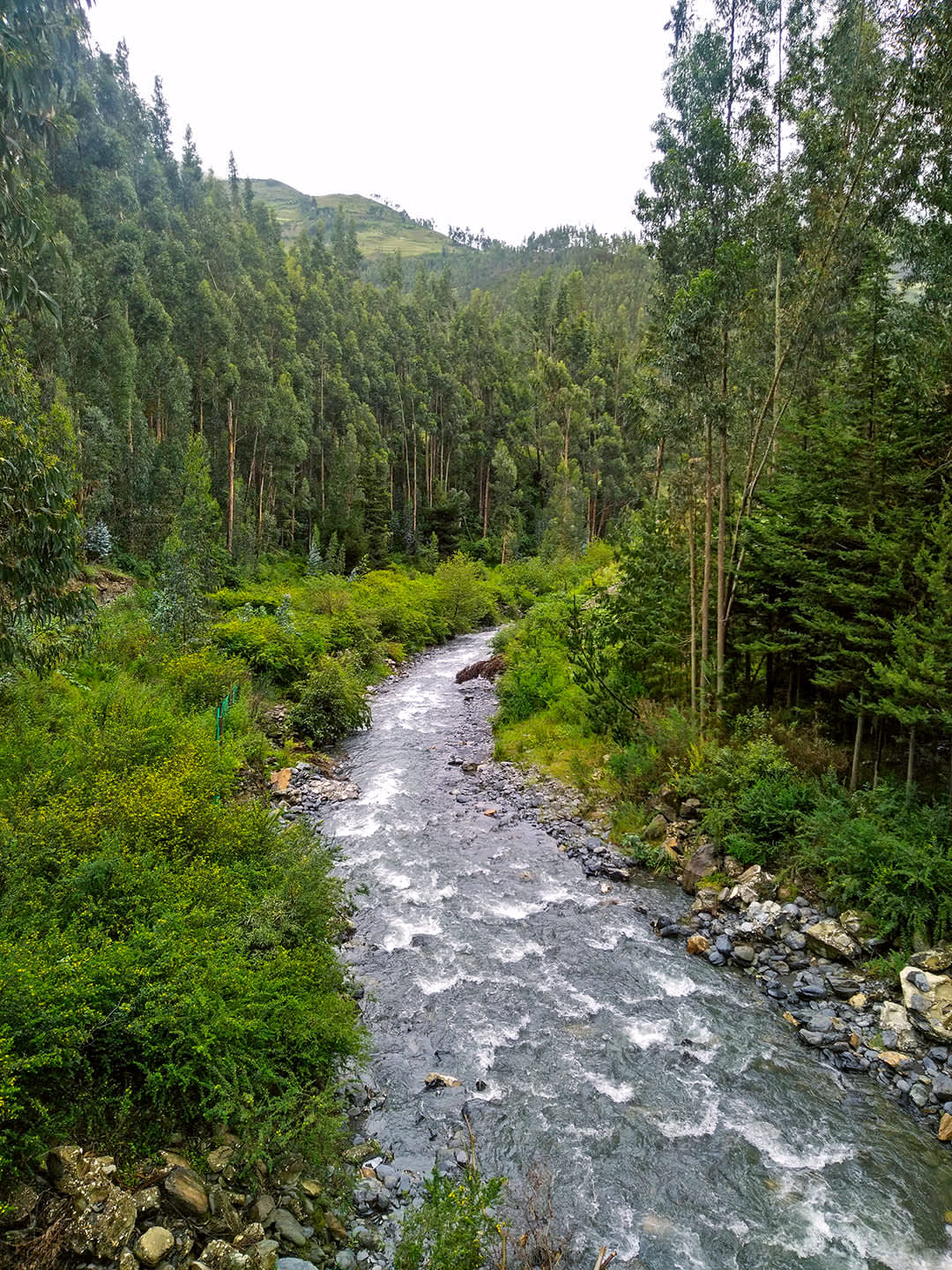 The Paucartambo river