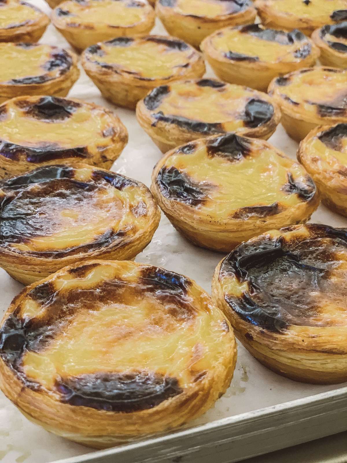 Pasteis de nata for days!