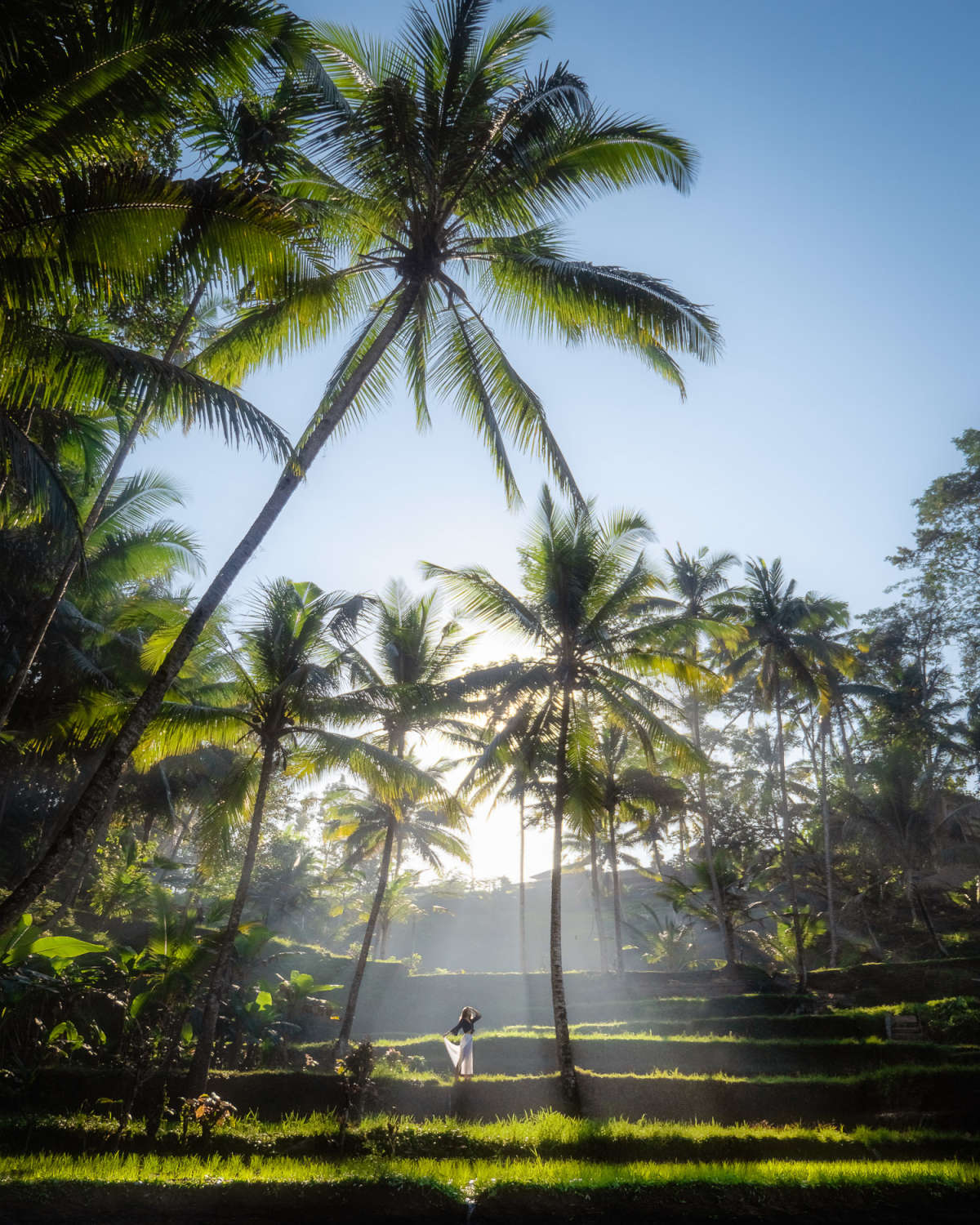 Those Light Rays Though!