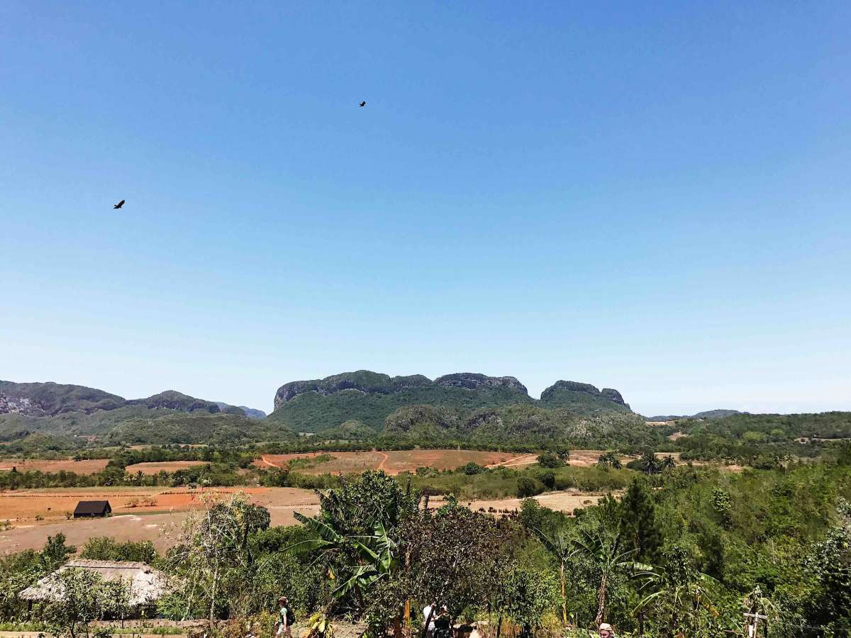 The farm we ate at in Vinales 