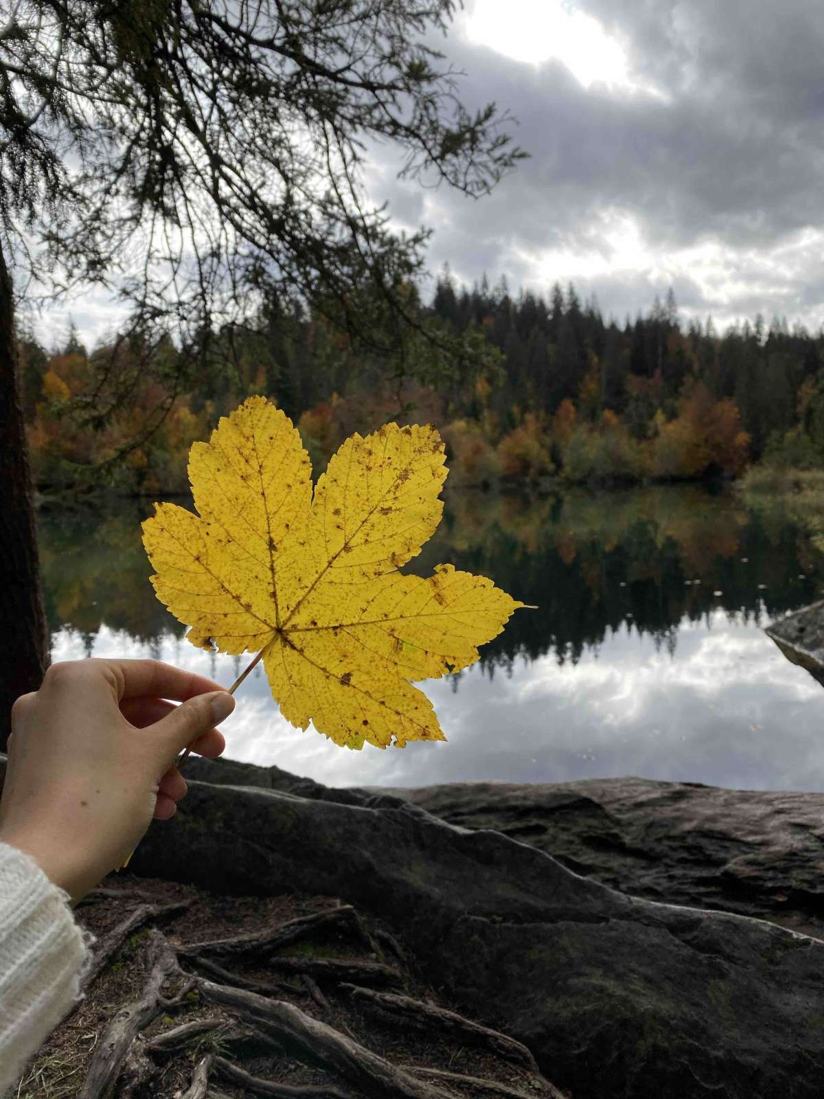 Fall at Crestasee 