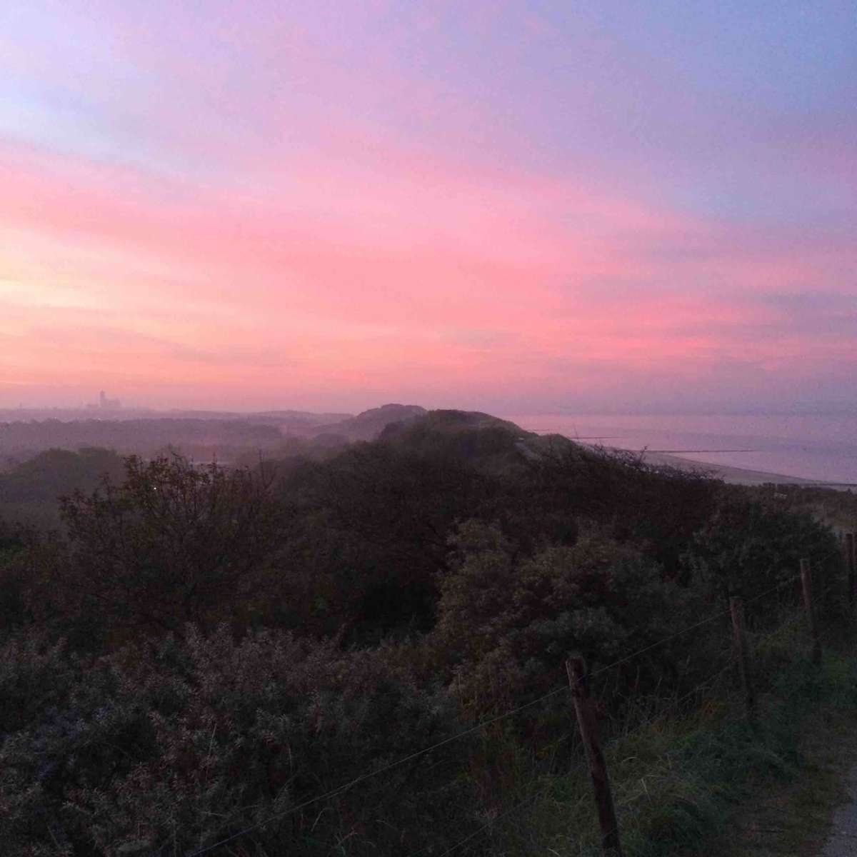 The dunes of Dishoeck. 