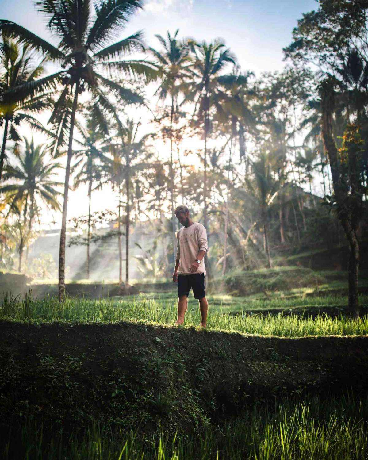 Strolling along the terraces with golden light in the background 