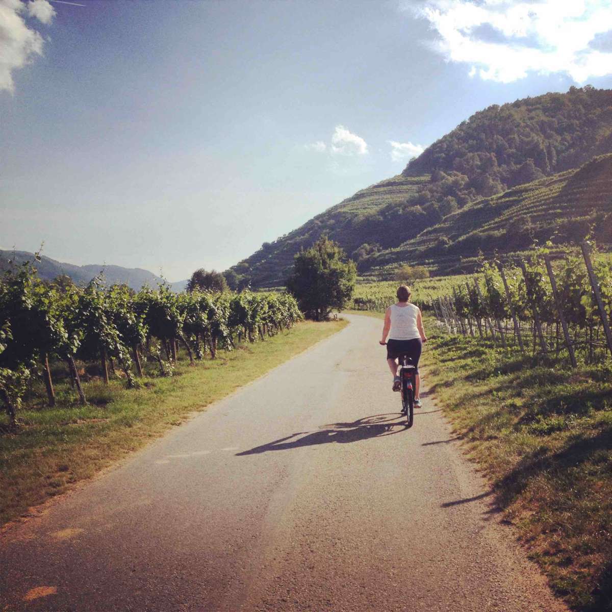 Mandy Riding Through Vineyard