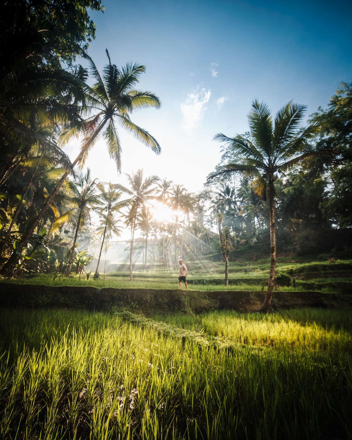 Tegalalang Light Rays