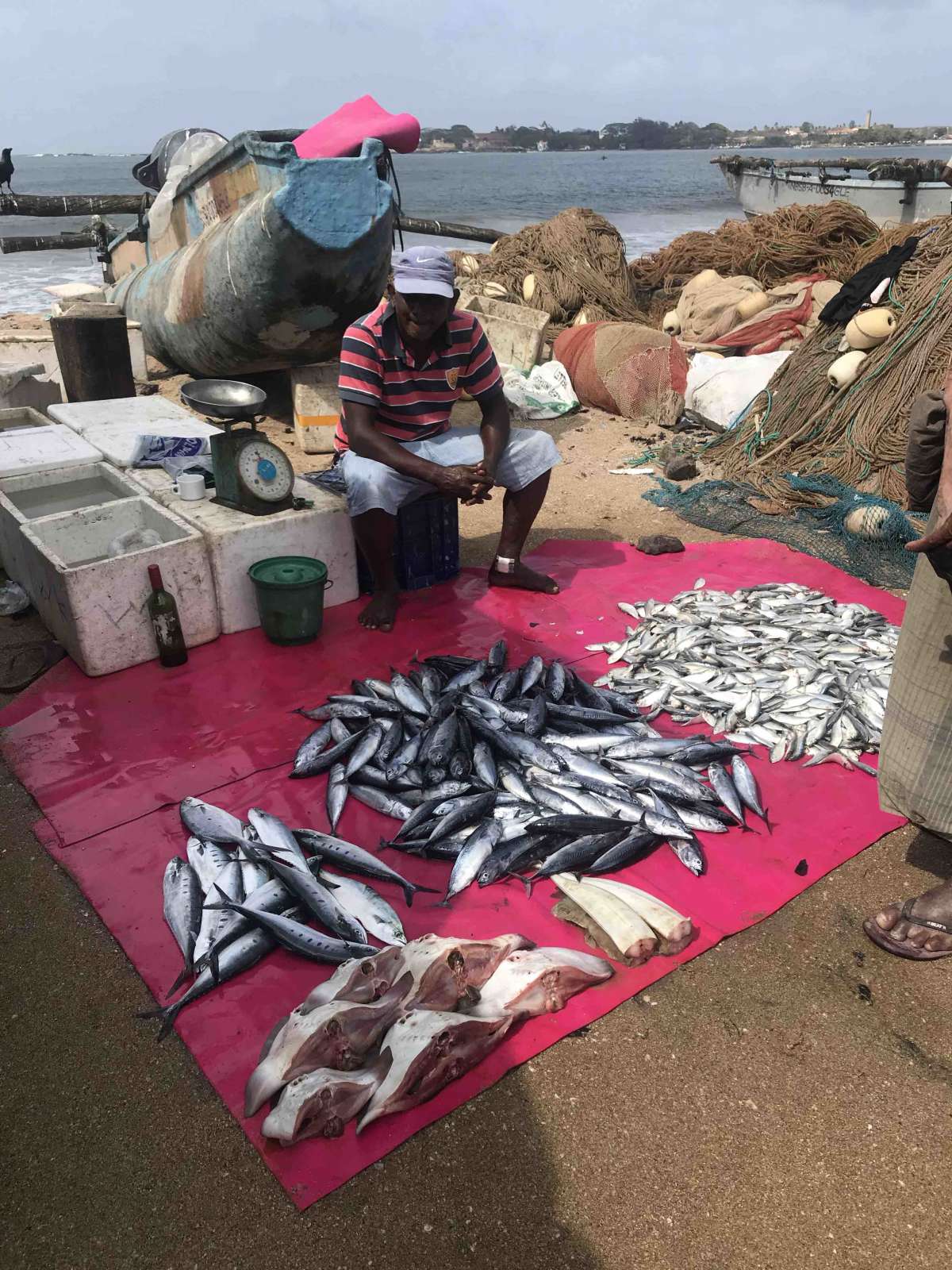 Local fish mongers in Galle