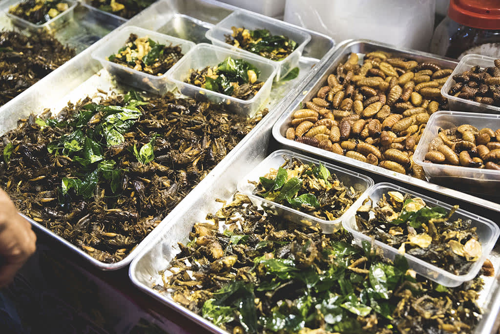 Bug, Yangon Street food