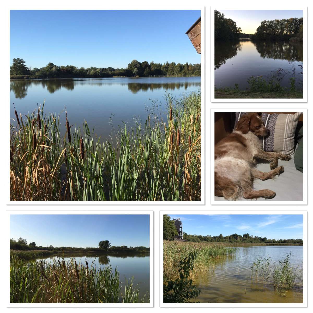 natuurreservaat de platwijers Zonhoven