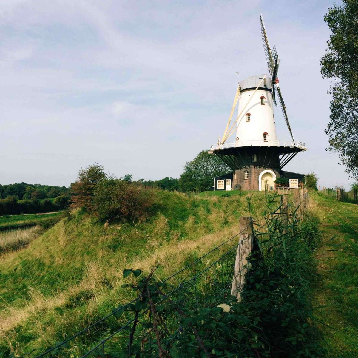 Veere’s old windmill. 