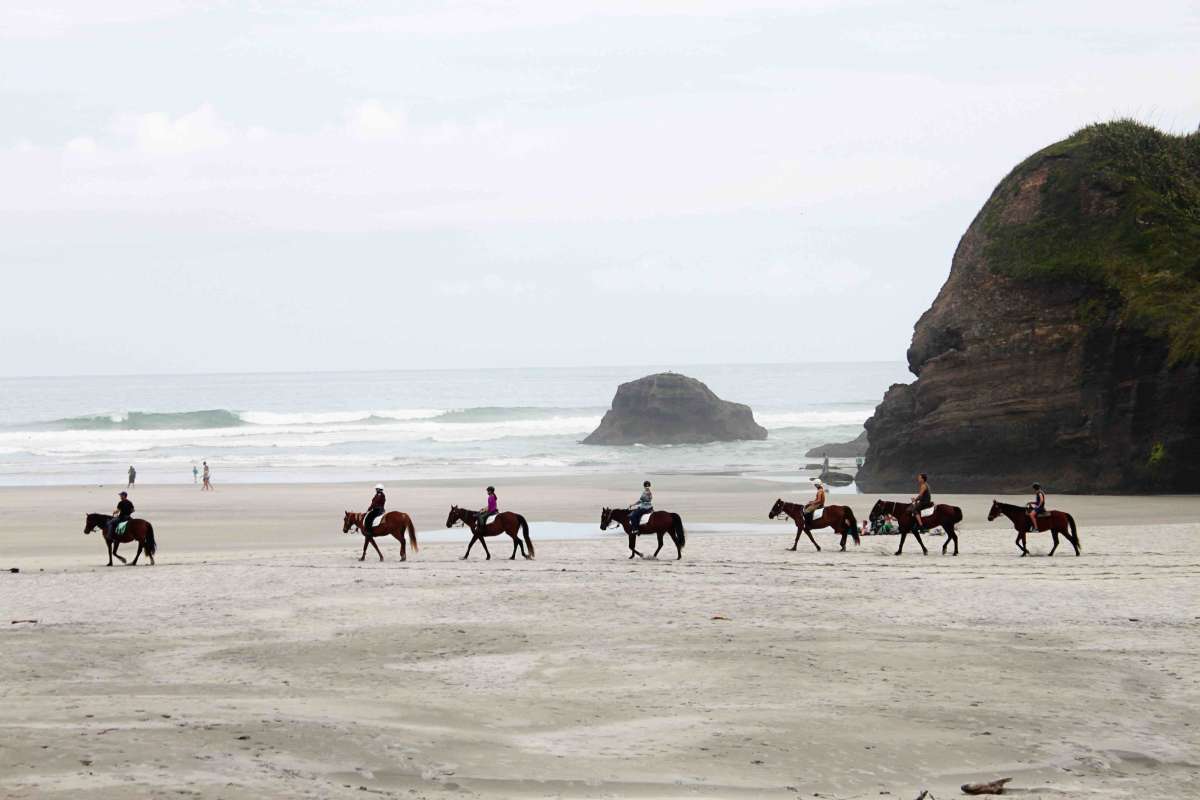 Wharariki Beach