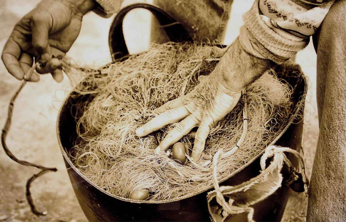 I was able to sneak behind the fish counter and snap a quick shot of the Sepia photos at the entrance.