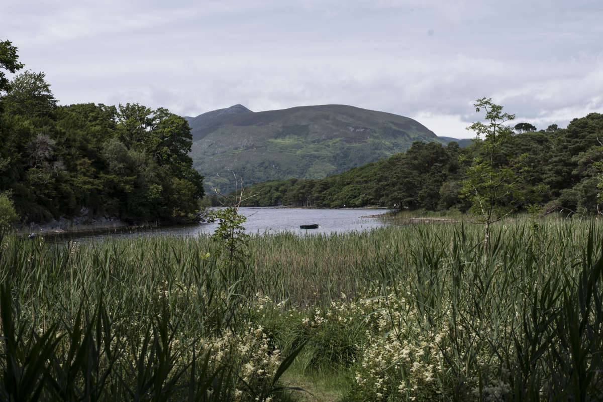 Killarney National Park