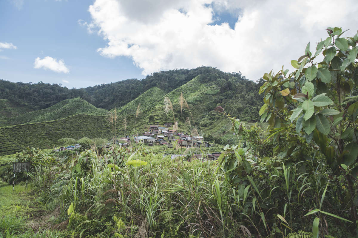 Village on the trail