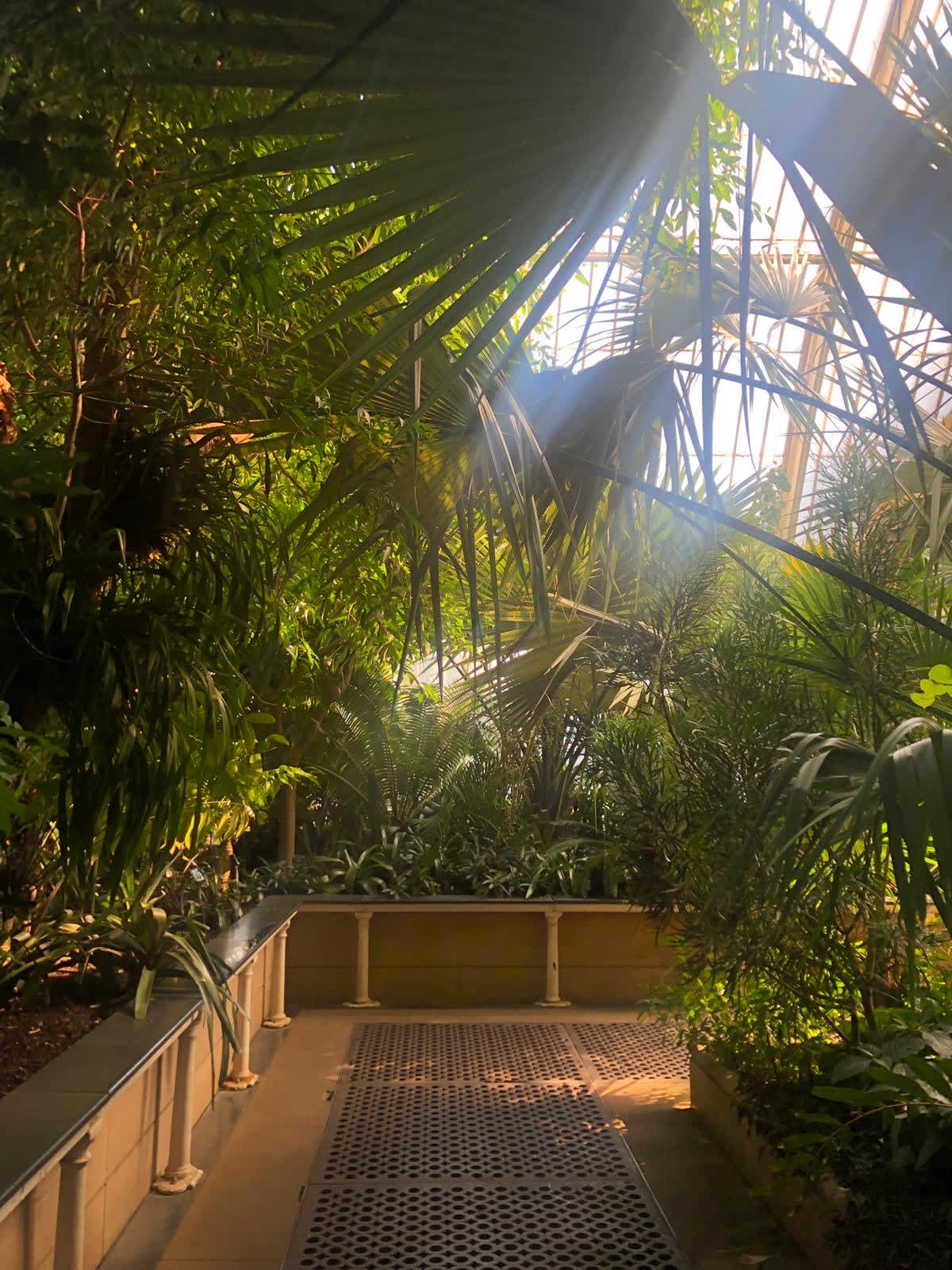 All the jungle vibes!