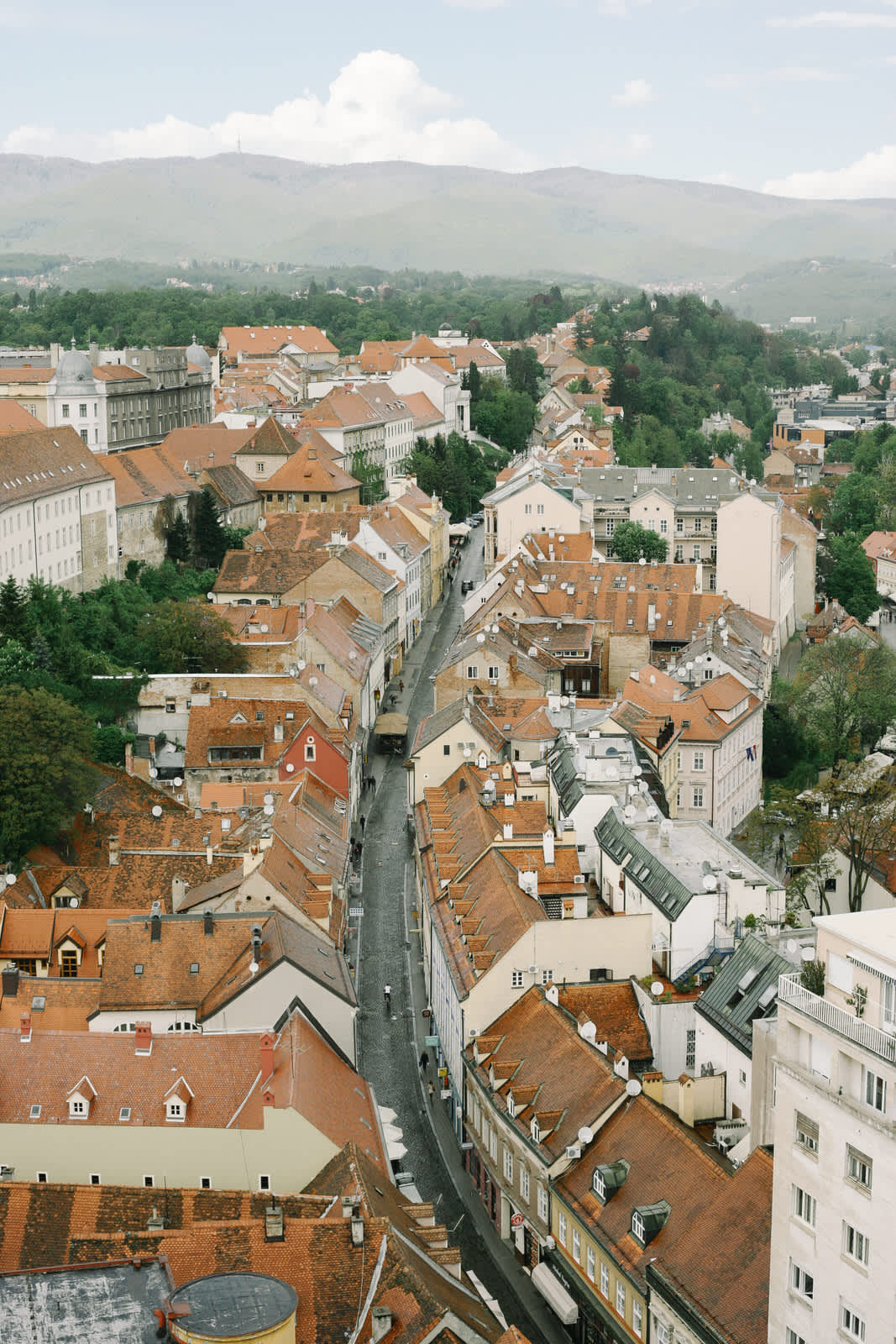 Radićeva street