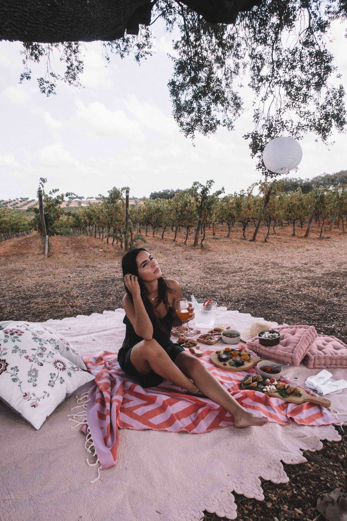 A Perfect Picnic